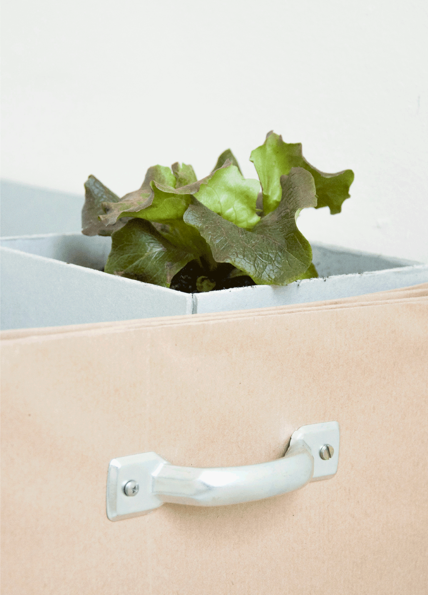 POT
